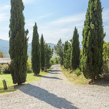 Glicine * Radicofani